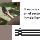 El uso de chatbots en el sector inmobiliario
